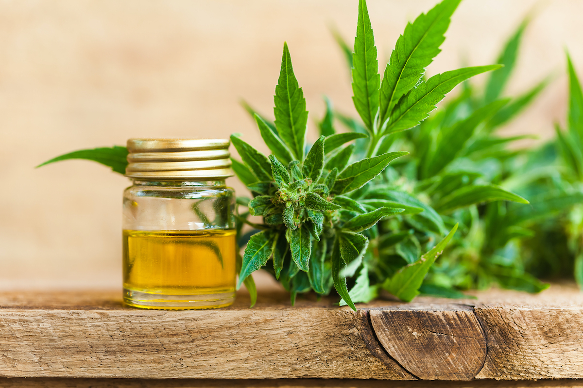 Légalisation du chanvre en France : la bataille continue pour les vendeurs de CBD
