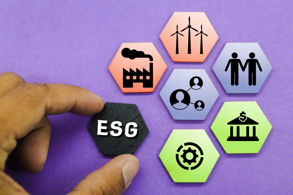 Le Comité Social Économique : Tout ce que vous devez savoir