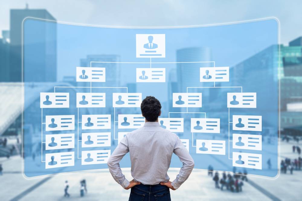 Organigramme juridique : pourquoi une version à jour évite les litiges ?